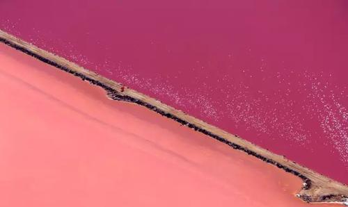 星座女|猫巫先生十二星座周运2022年9.26-10.2:社交丰富,喜好自由