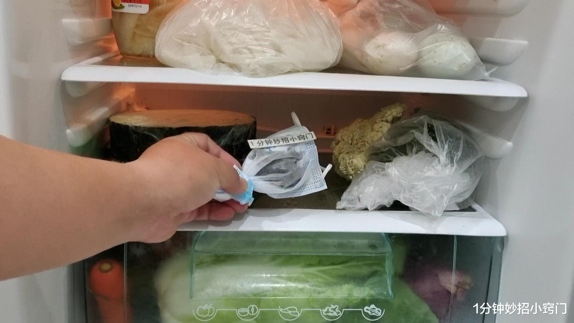 今天才知道,冰箱里放一个口罩,一年能节省好多钱,看懂回家试试