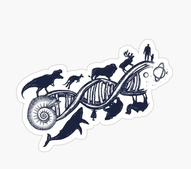 生物学走的那些弯路:人类曾经被归类为蝙蝠的近亲物种