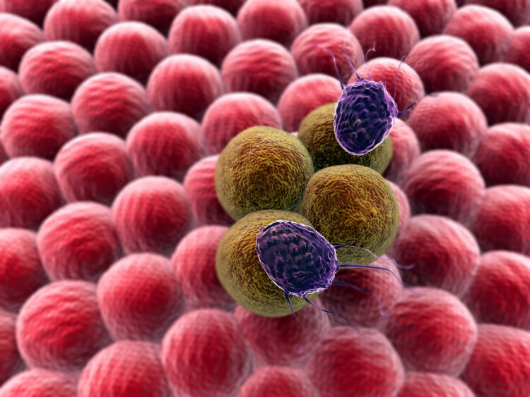 螃蟹|为什么癌症到了晚期，身上却不痛不痒、没症状？4种癌尤其要当心