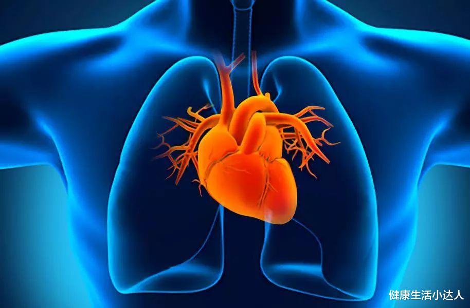 伤肾|心脏好不好,自测一下:9个表现,满足越多,心脏越差