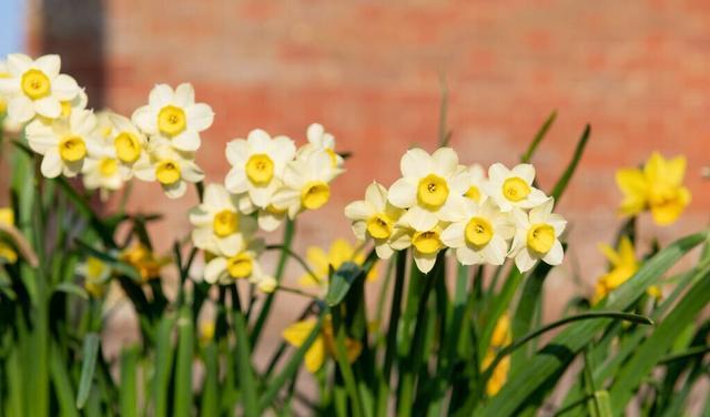 裁员潮|真正聪明的人,早就戒掉了无效社交