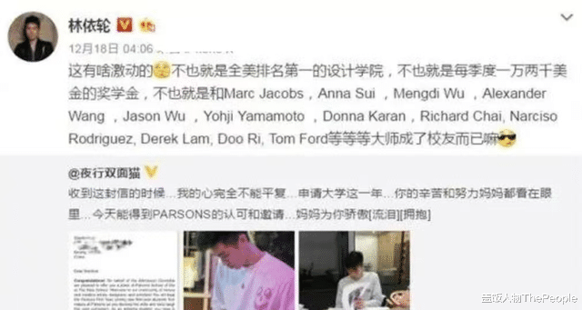 林依轮|深扒糊了的林依轮,才发现北京2栋楼、1.8亿一幅画,只是冰山一角