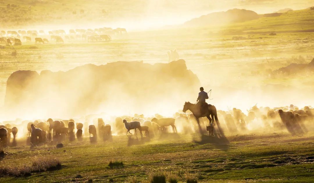 三亚|再过十天!伊犁河谷将美爆你的朋友圈 !