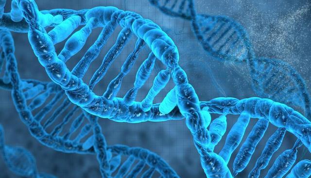 人类指纹的斗和簸箕有何秘密?真是基因诅咒?未来难道早已注定?