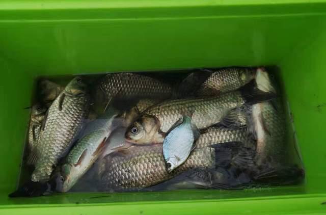 |冬季野钓需要“人找鱼”，如此找，渔获好！