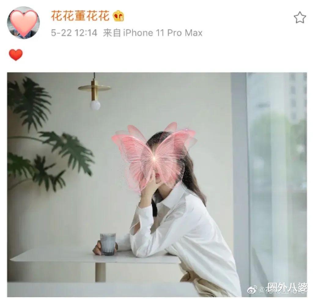 张大奕|谁不是一边骂张大奕、一边渴望成为董花花呢？