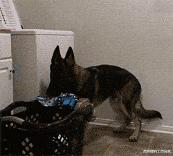 最终幻想起源|“华为1996年的招聘广告，大家自己感受一下！”都是人才啊