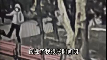 北京一女子出门散步时，突然被一条狗扑了过来，女子被狗扑倒后，狗还对其实施攻击行为