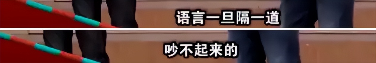 撒贝宁|撒贝宁和妻子李白到底有多恩爱？