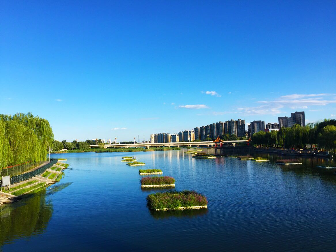 正荣地产|惠州大亚湾百万大盘珠江.四季悦城现状如何,房价为何一直居高不下?