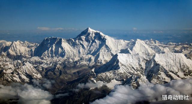 高峰|什么“鸭子”可以飞过喜马拉雅山脉的高峰？