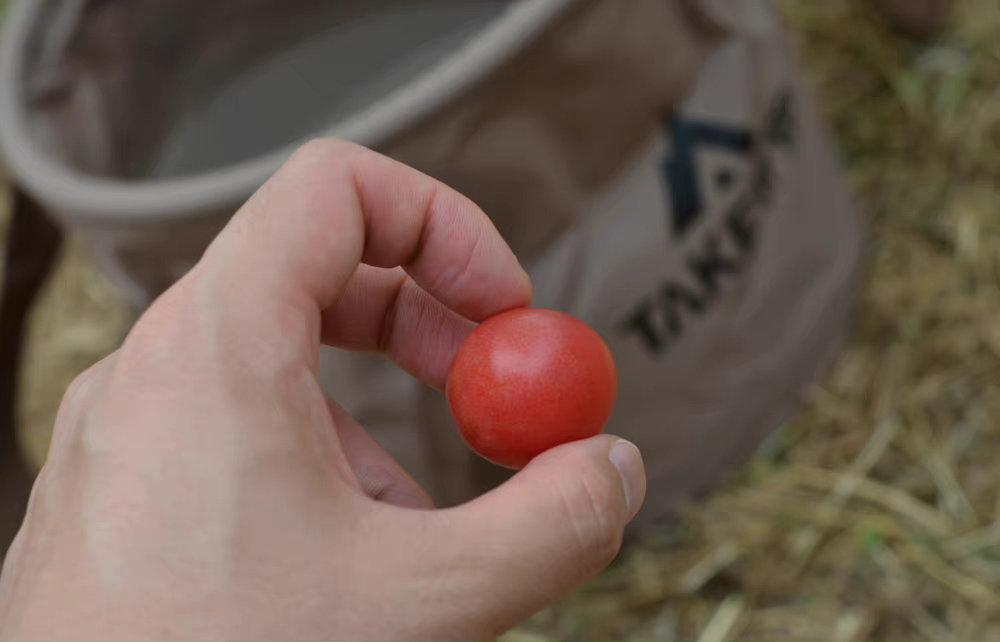 露营|户外露营装备，怎么选？你不容错过的实战攻略