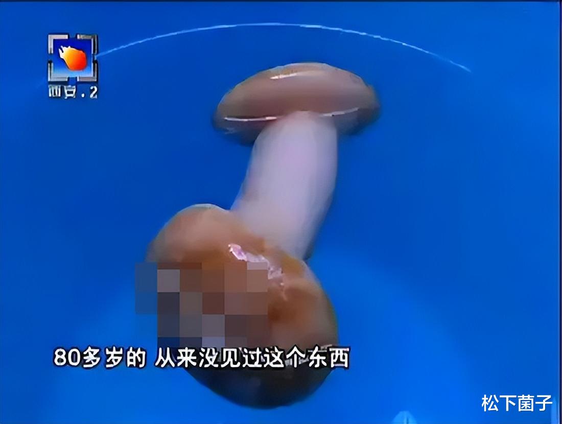 姐弟俩捡到太岁,以为能卖几百万,随后发现是塑料人体模特