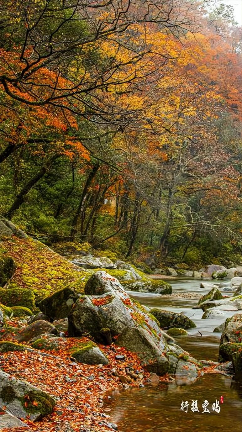 |宝鸡赏秋指南：秦岭森林 大江源头 多彩斑斓的秋日山水风景大观