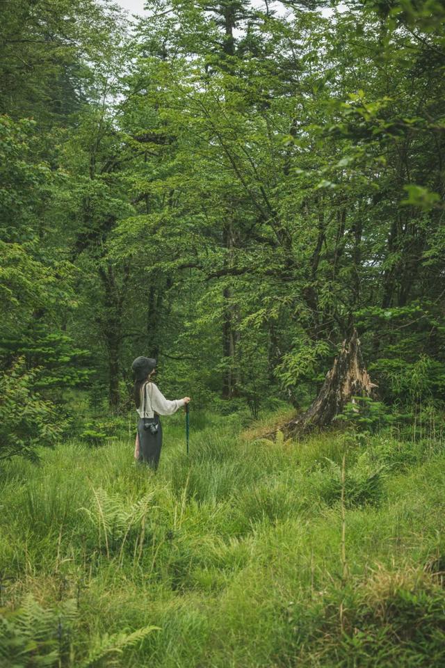 |别再喊热了!这个被央视疯狂点赞的避暑秘境,18℃!爆凉快!