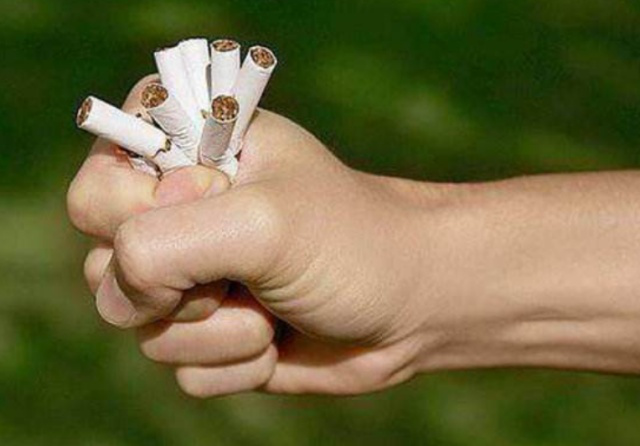 老中医|真正能软化血管的并非大蒜,而是它,若能坚持,或许血管会感激你