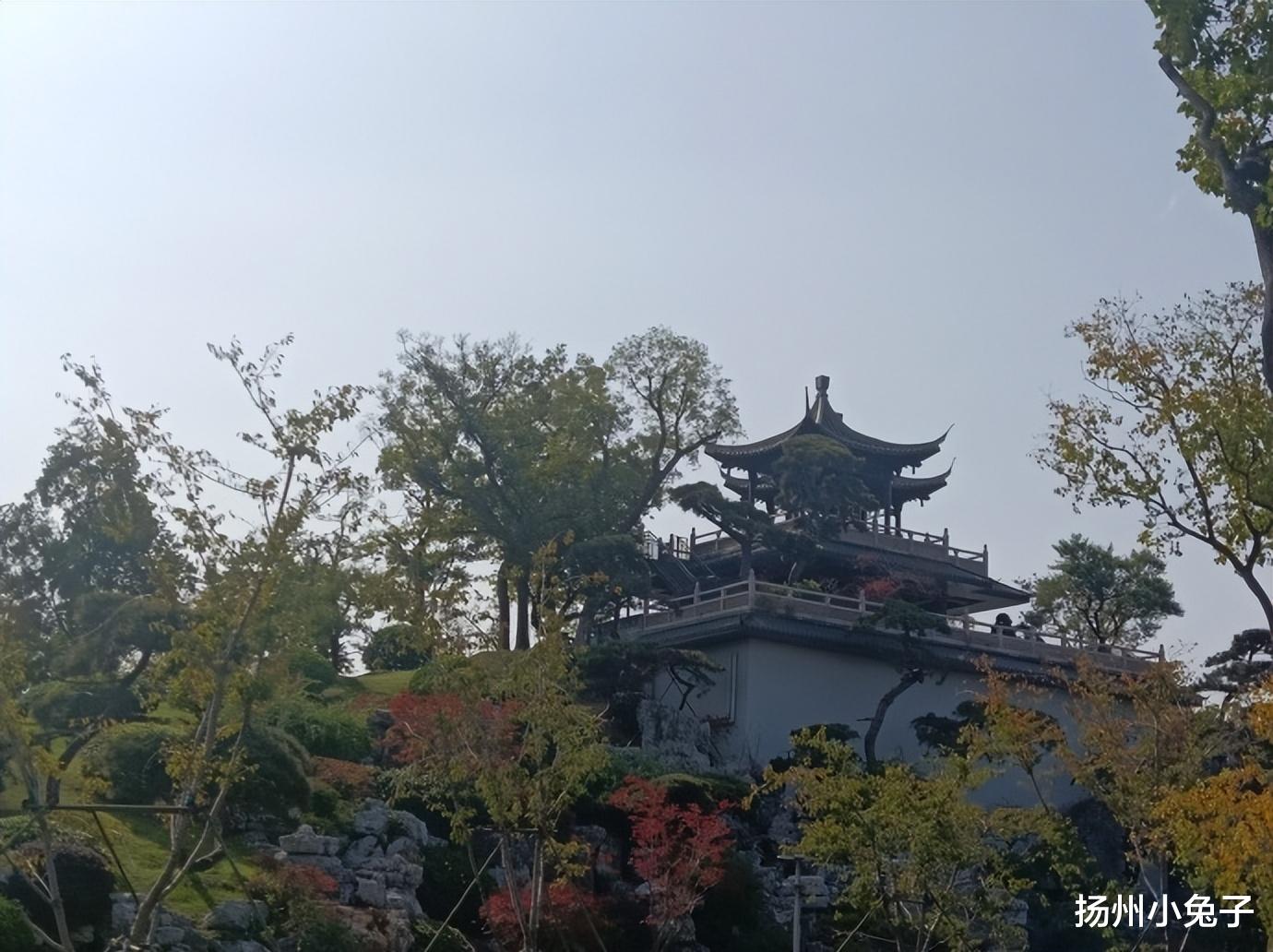 栖霞山|看秋色、品秋味、赏秋景,为秋天送行