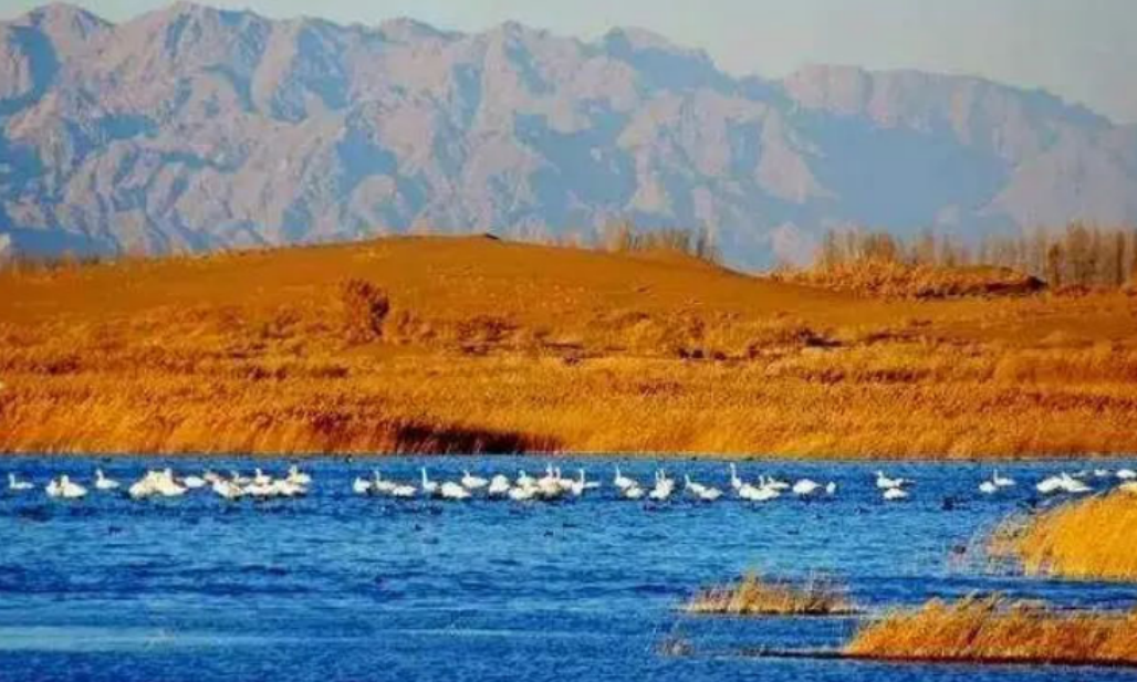 天池|我国的世界奇迹,亦是旅游景点,你都去过几个呢?