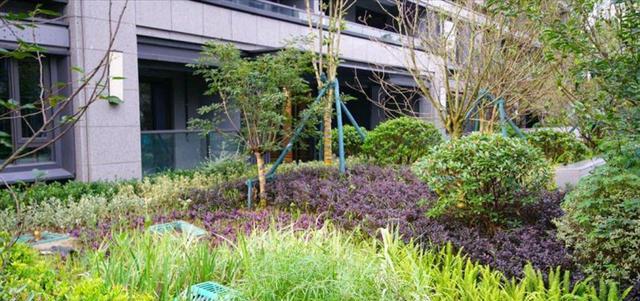 房价|业界良心？宁波这个开发商在江北庄桥的项目交出了完美的答卷！