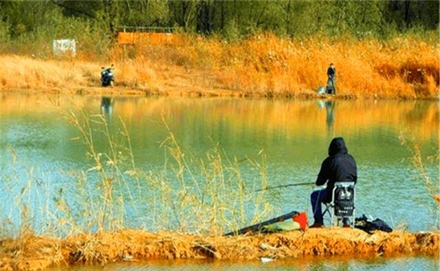 |渔乐杂谈:秋末冬初温度降低,钓浅水还是钓深水?