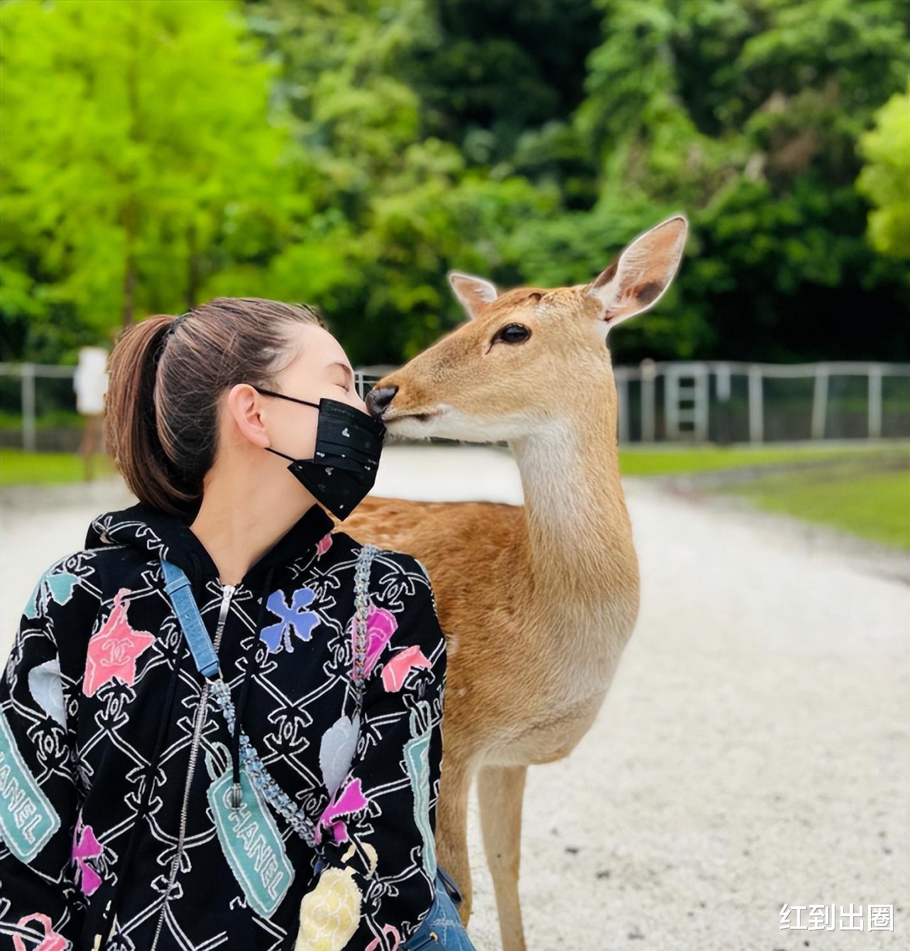 周杰伦|昆凌3胎女儿被曝已出生，周杰伦陪老婆坐月子，刘畊宏大方送祝福