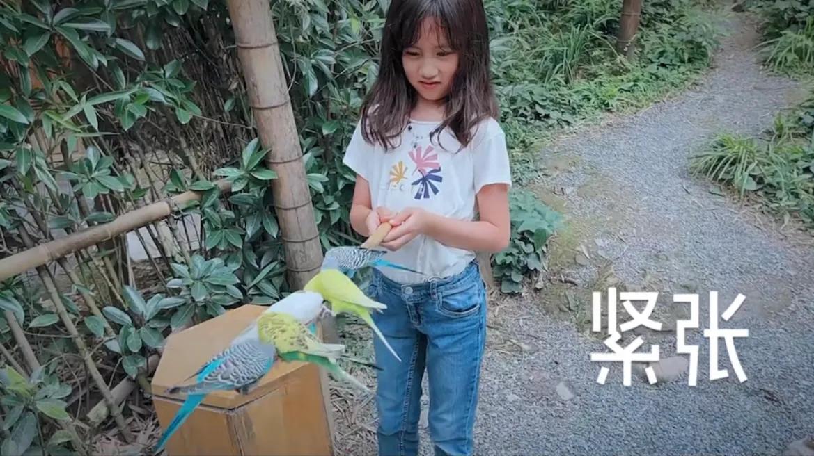 孙莉|孙莉带俩儿女游动物园,多妹对弟弟照顾有加,互动温馨有爱