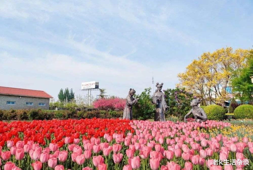 四川省|郁金香花开的季节，这三个景点，让你体验争奇斗艳香气扑鼻的感觉