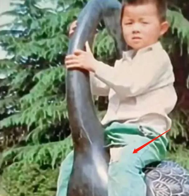 许敏|姚威可能将成证人出席三审？网友：换策明明白白地来，清清楚楚地去