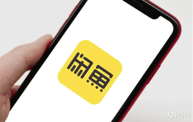 为什么要关闭闲鱼的网页版?