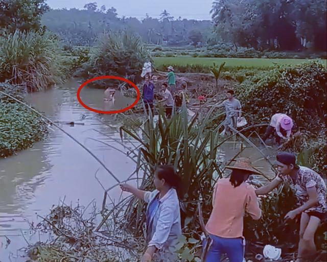 钓鱼|大雨后小河沟成天然黑坑,成百上千的人前来钓鱼,网友:太疯狂了