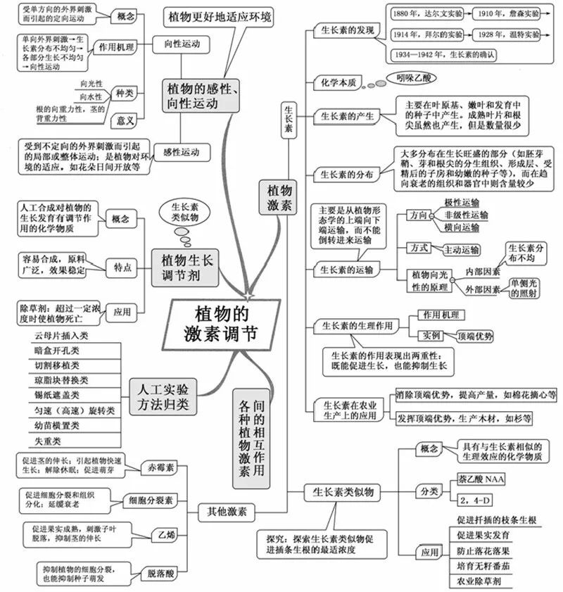 初中生物:重要知识点图解,内容清晰明了、简单易懂