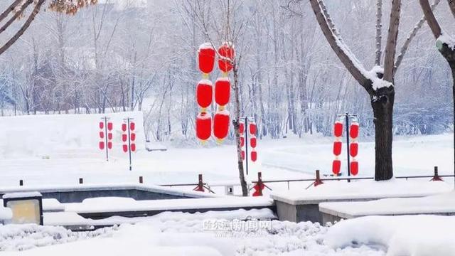 雪容融|下雪了，满街都是“雪容融”｜冰城人已经在冰场、雪地撒欢儿了