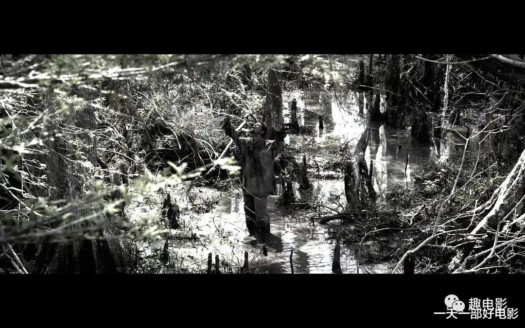 威尔·史密斯|被狂刷差评,威尔·史密斯太冤枉了《解放黑奴》