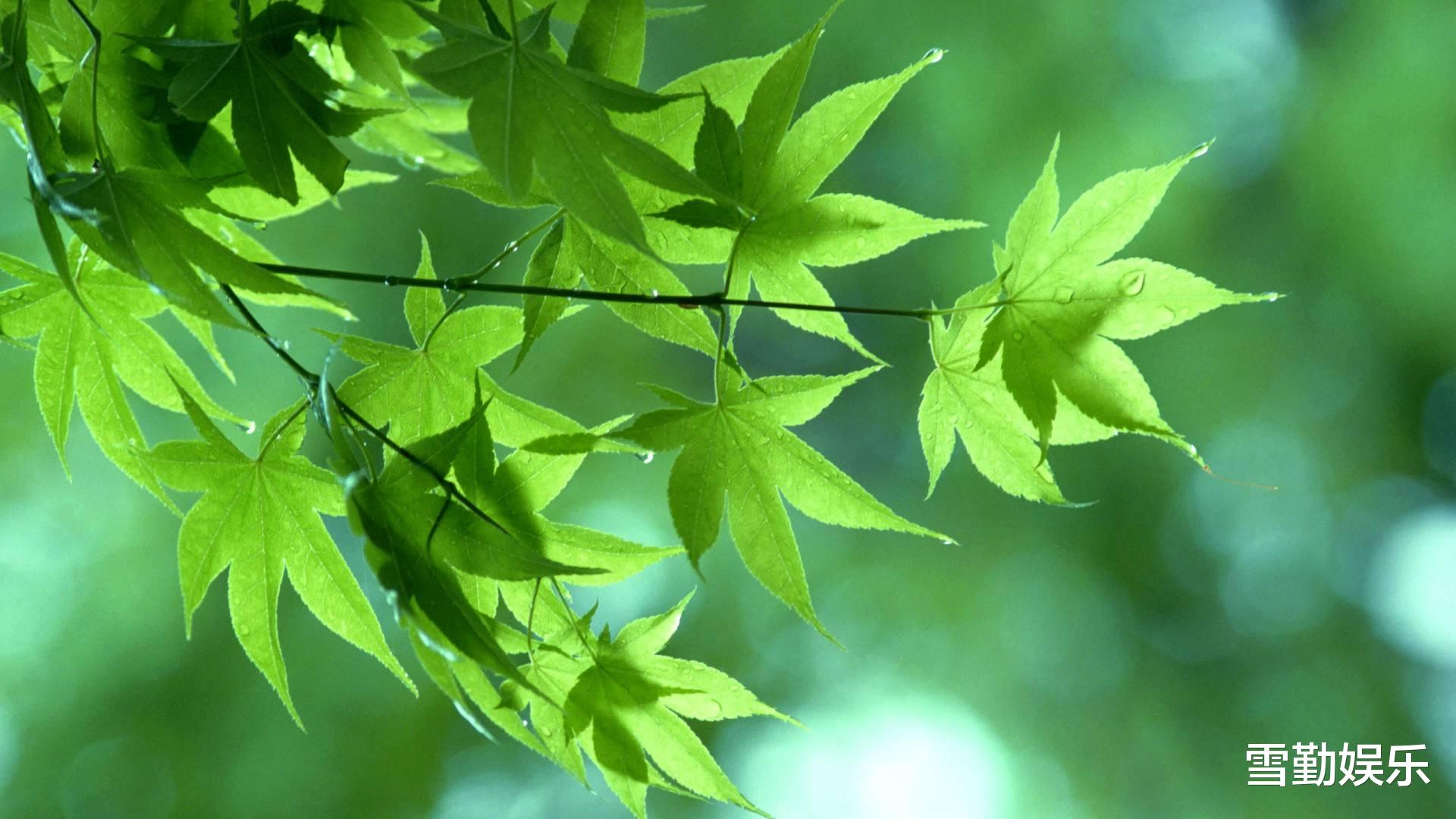 池塘|记钓鱼的一天