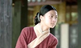 梅长苏|《琅琊榜》十大智者,秦般弱勉强能上榜,麒麟才子梅长苏排在第三