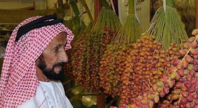 雪峰山|阿联酋要赠送10万株椰枣树苗给中国，椰枣是啥？我国为何如此重视