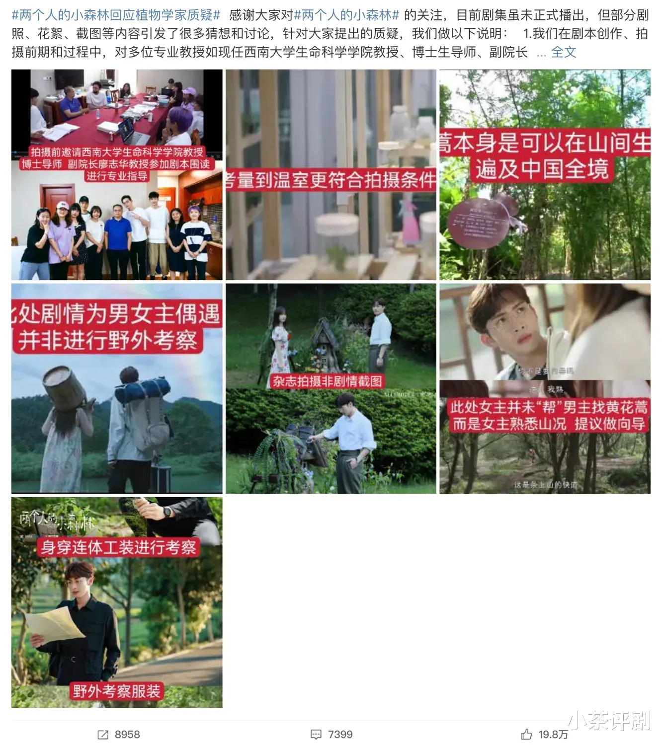 两个人的小森林|《两个人的小森林》首波评价出炉，差评连连，差评理由千奇百怪