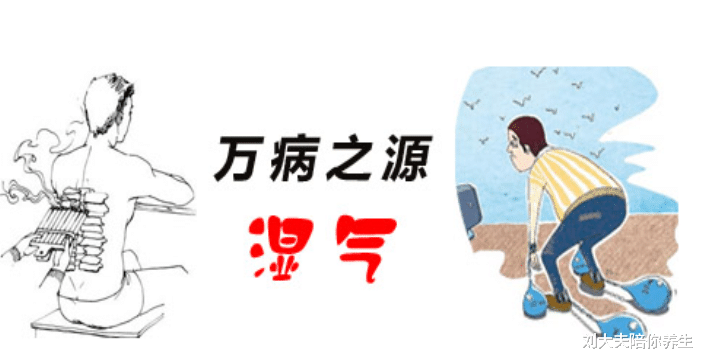 祛湿|想要祛湿,先弄懂湿气是什么!3个祛湿食疗方,健脾、祛湿、清热