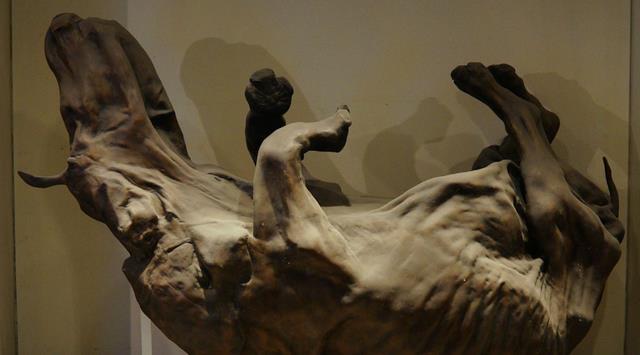地球潘多拉魔盒开了?北极发现史前生物尸体,学者为何感到不安?