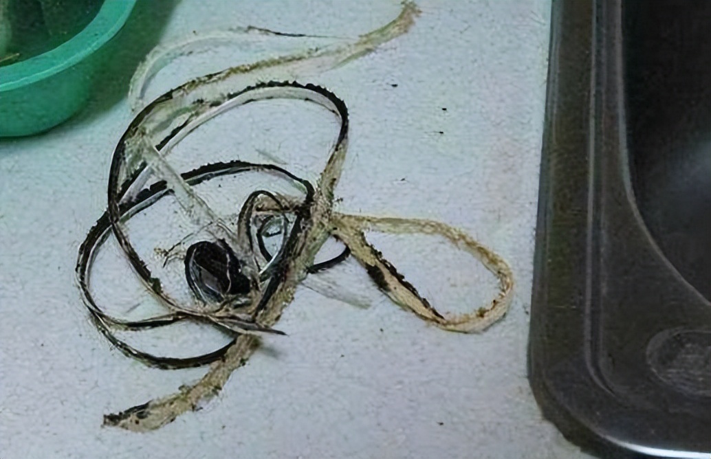 玻璃胶用久了发霉怎么办?老师傅给你支几招,立马干净如初