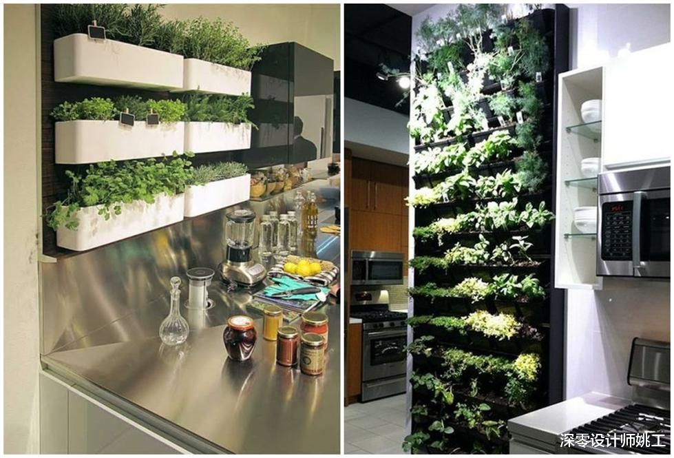 迟早有一天,我也能在厨房这7个地方种上蔬菜,自给自足超省事