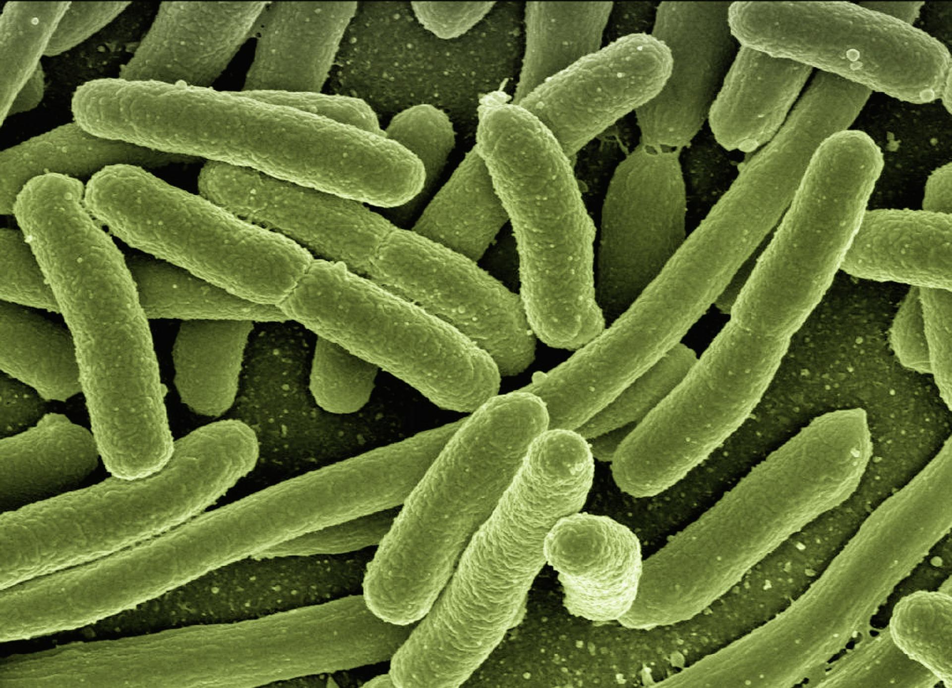 “达歌生物”完成3200万美元新一轮融资