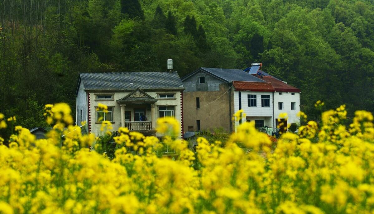 滨江|暂停还得可行：宅基地使用权抵押还需更进一步