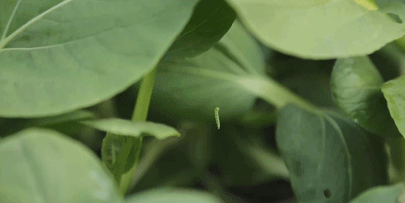 如果能重来,阳台一定“9不装”,并非迷信,是过来人的经验教训