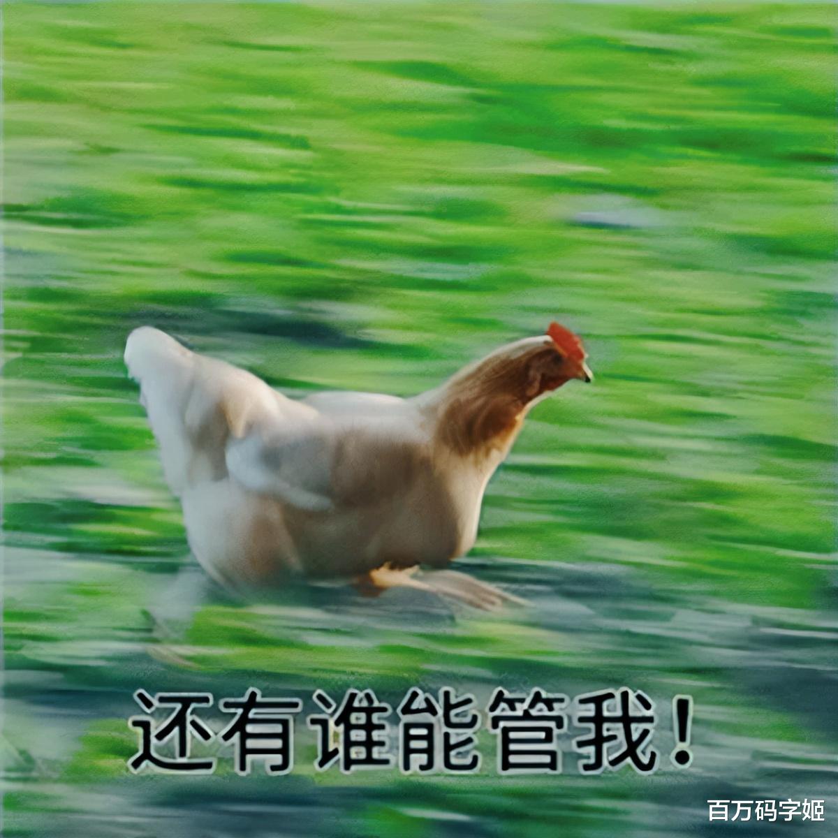 退休|35岁攒100万,可以直接退休吗?网友:“你对物价一无所知”