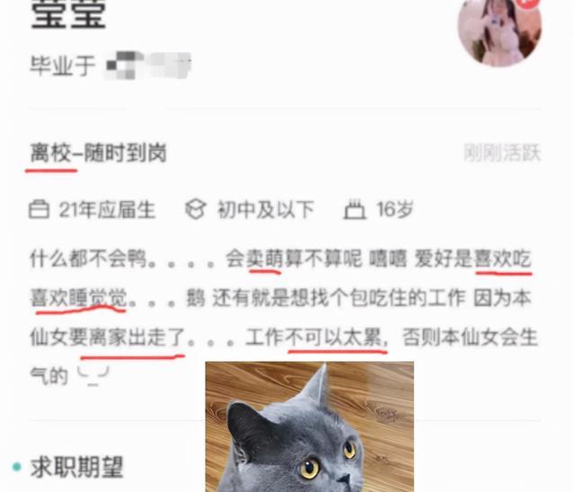 大学生|00后大学生简历走红,毕业生很勇敢,面试官看完竟不知该如何是好