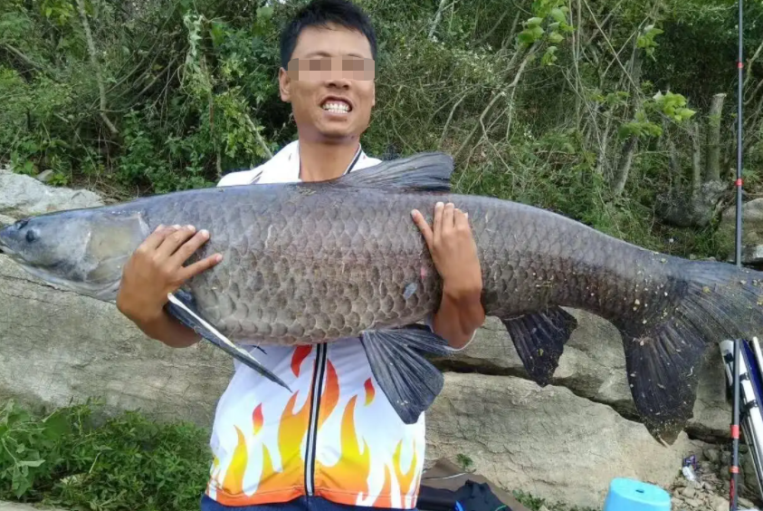 黔西|黔西出现钓鱼人敬仰楷模,一周记录除了钓鱼就是回家,有点伤身!