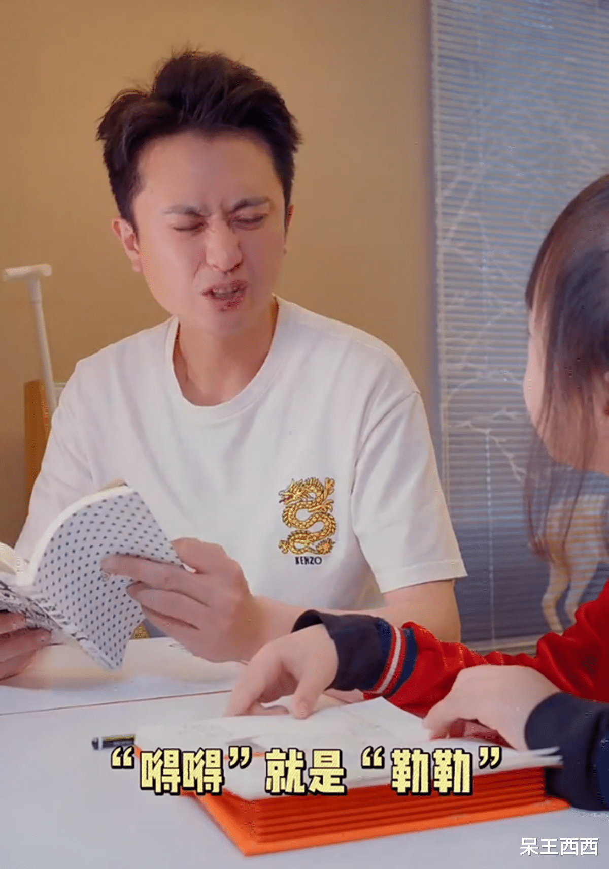 杨帆|央视主持人杨帆重心放在家庭生活,事业发展竞争优势不明显