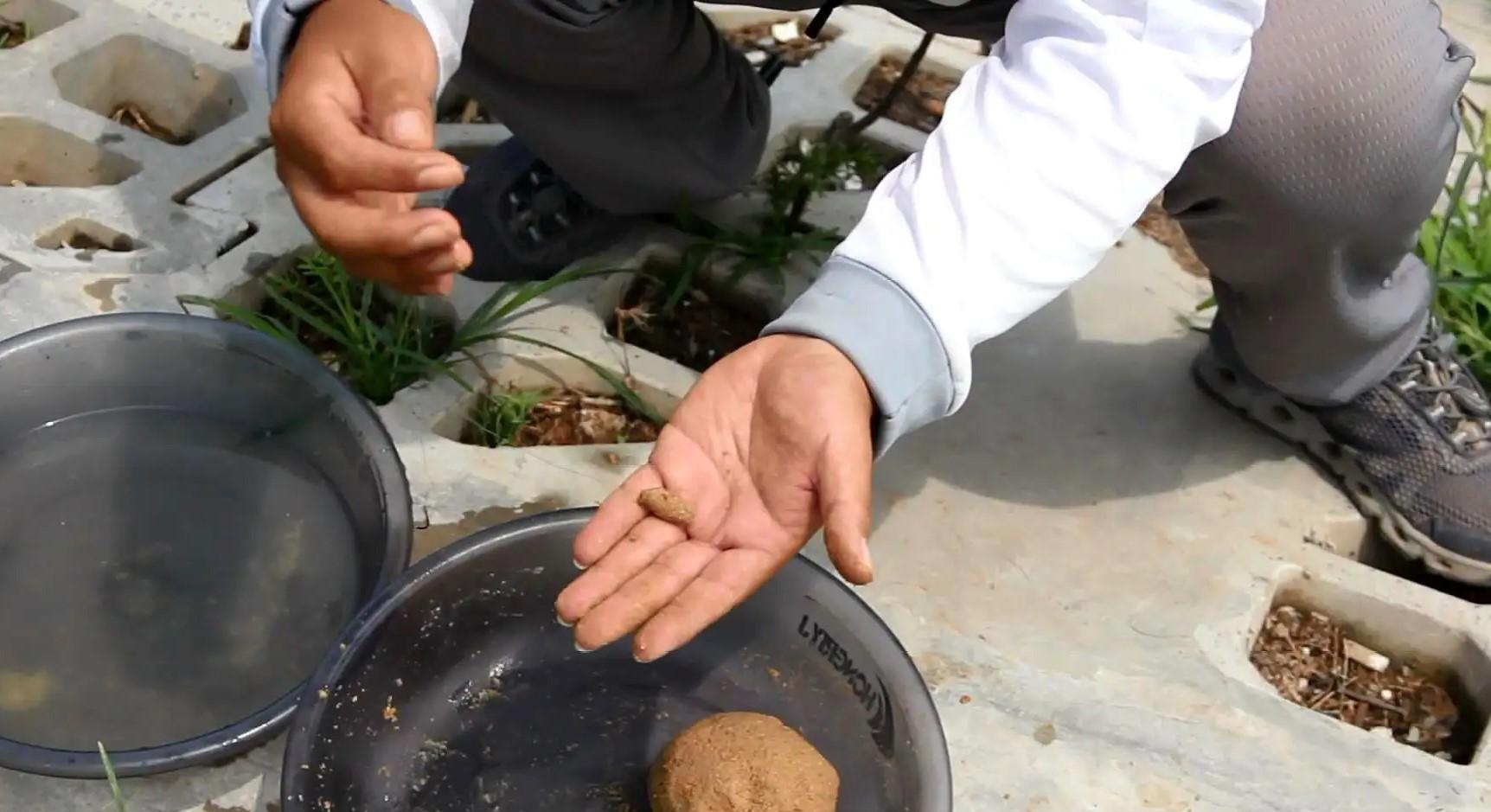 饵料|钓鱼，开好商品饵很难吗？教你开饵的正确方法